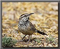 CLICK to enlarge image # 17