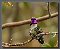 CLICK to enlarge image # 18