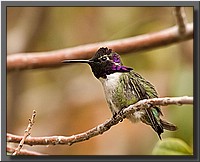 CLICK to enlarge image # 19