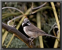 CLICK to enlarge image # 23