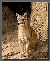 CLICK to enlarge image # 25