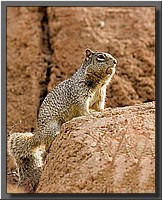 CLICK to enlarge image # 26