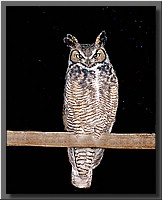 CLICK to enlarge image # 30