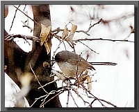 CLICK to enlarge image # 34