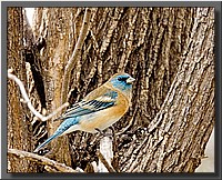 CLICK to enlarge image # 37