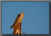 CLICK to enlarge image # 5