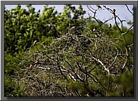 CLICK to enlarge image # 8
