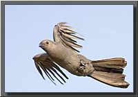 CLICK to enlarge image # 14