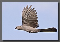 CLICK to enlarge image # 15