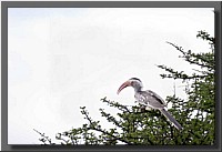 CLICK to enlarge image # 18