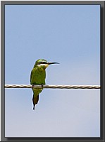 CLICK to enlarge image # 20