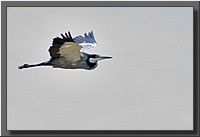 CLICK to enlarge image # 21