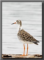 CLICK to enlarge image # 23