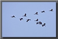 CLICK to enlarge image # 38