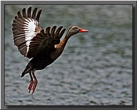 CLICK to enlarge image # 3