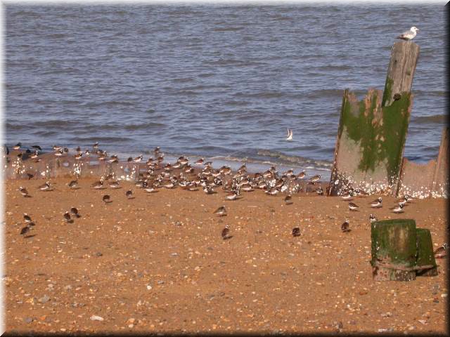 PortMahon5082.jpg