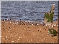 PortMahon5082.jpg
