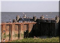 PortMahon5083.jpg