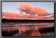 CLICK to enlarge image # 22