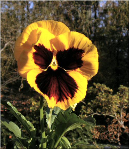 DSCN6393.jpg