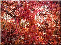 DSCN6341.jpg