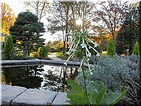 DSCN6352.jpg