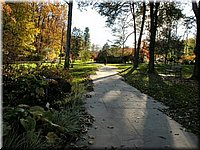 DSCN6353.jpg