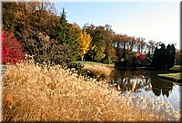 DSCN6356.jpg