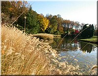 DSCN6357.jpg