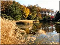 DSCN6358.jpg