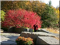 DSCN6367.jpg