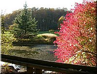 DSCN6371.jpg