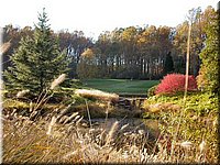 DSCN6373.jpg