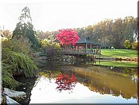 DSCN6375.jpg
