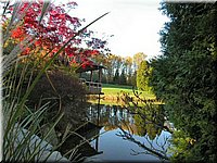 DSCN6376.jpg