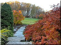 DSCN6388.jpg