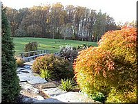 DSCN6389.jpg