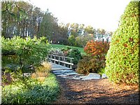 DSCN6391.jpg