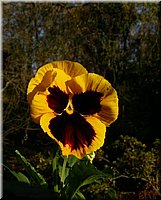DSCN6392.jpg