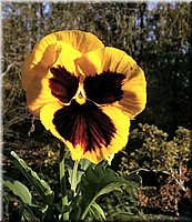 DSCN6393.jpg