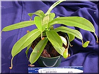 DSCN5812.JPG