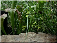 DSCN5817.JPG