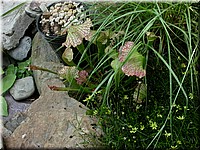 DSCN5819.JPG