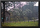 CLICK to enlarge image # 25