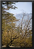 CLICK to enlarge image # 26