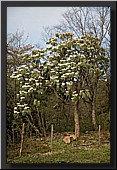 CLICK to enlarge image # 27