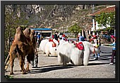 CLICK to enlarge image # 46