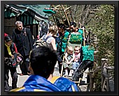 CLICK to enlarge image # 25