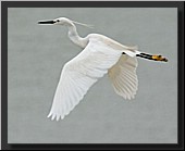 CLICK to enlarge image # 2