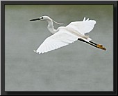 CLICK to enlarge image # 3
